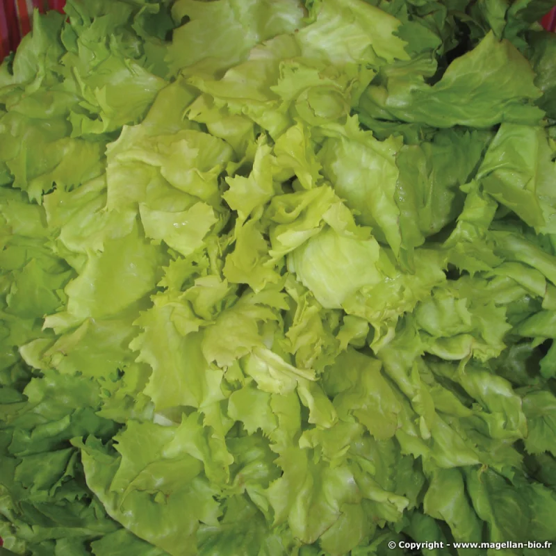 2026_05_18_48750