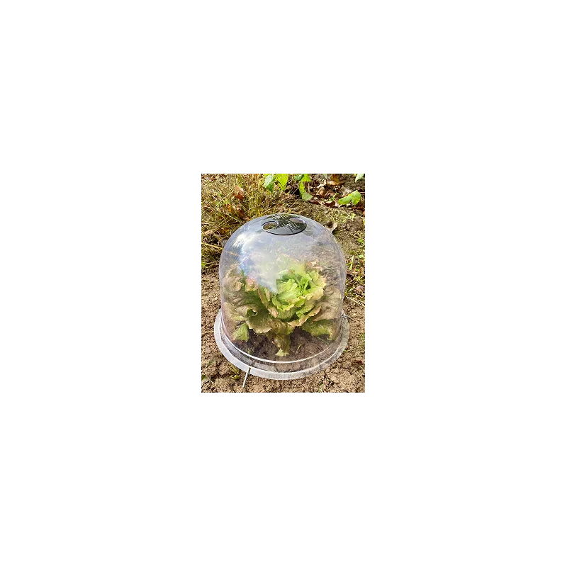 2026_05_18_63186