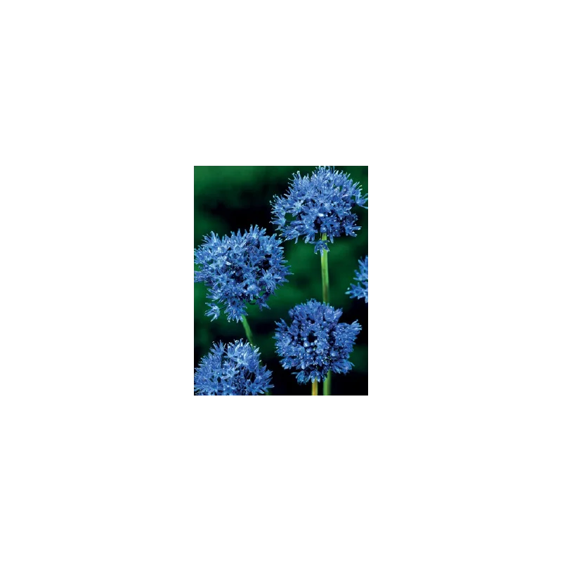 2026_05_18_69660