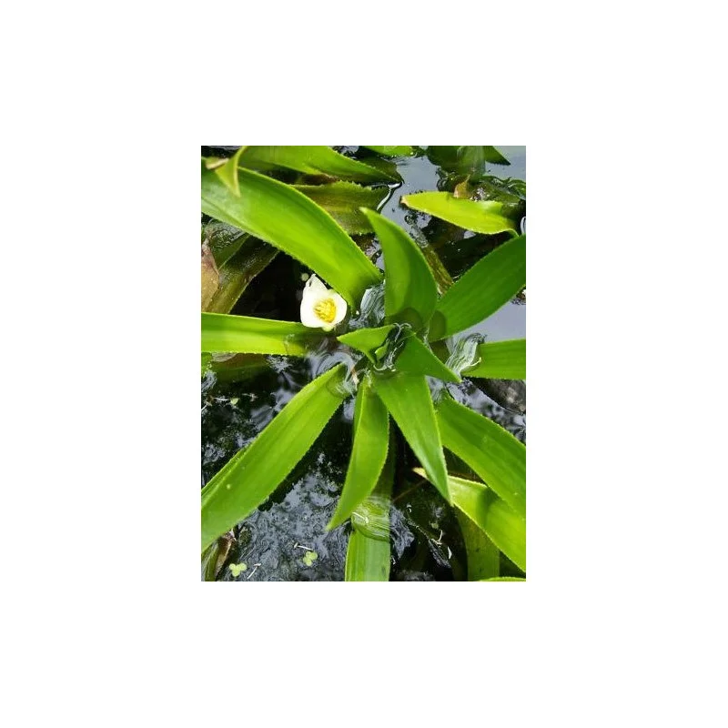2026_05_19_143050