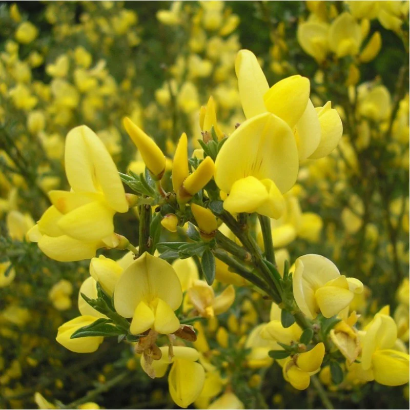 2026_05_19_148372