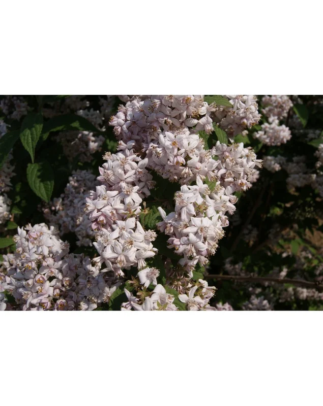 2026_05_27_714402