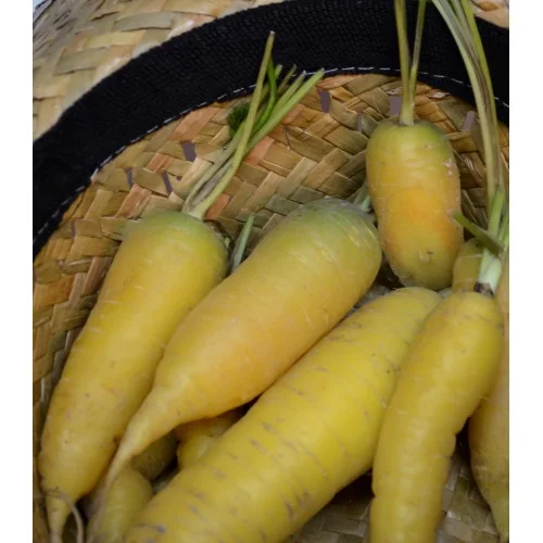 2026_05_27_715999