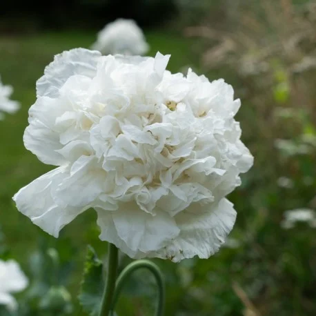 2026_05_27_717606