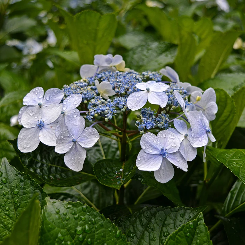 2026_05_28_830858