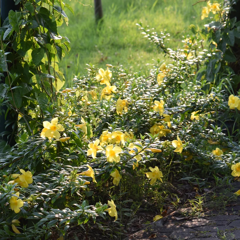 2026_05_28_835989