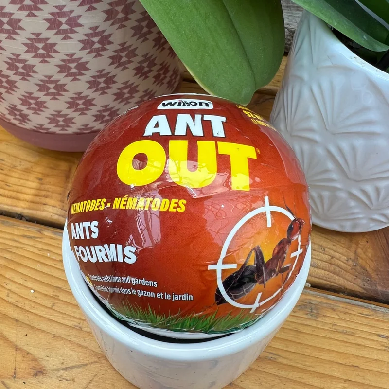 4xtqnr1024h