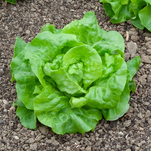 5cm1kaw1h1w