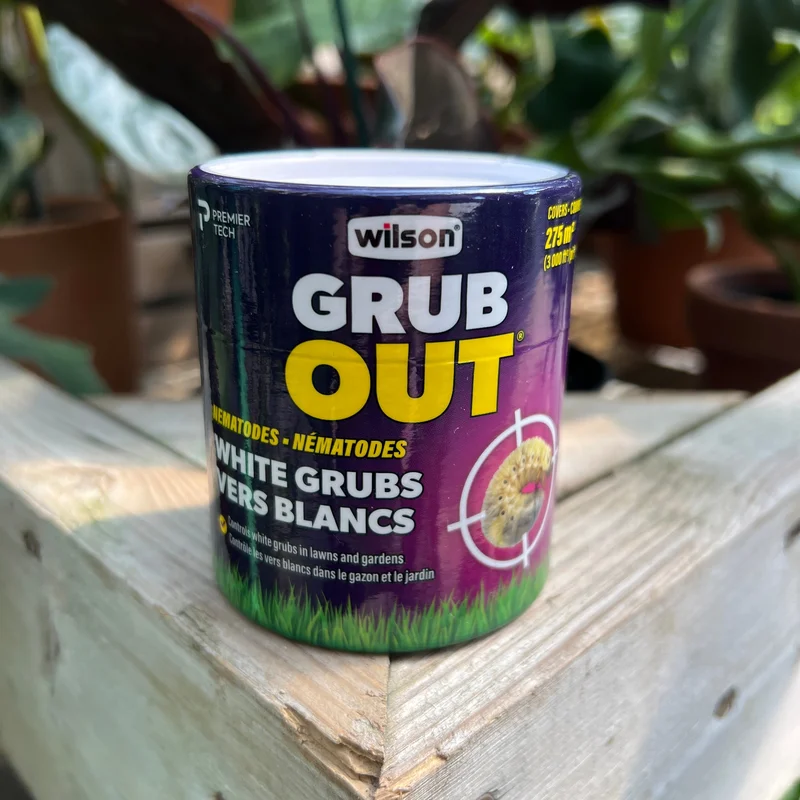 gaxvggqufki