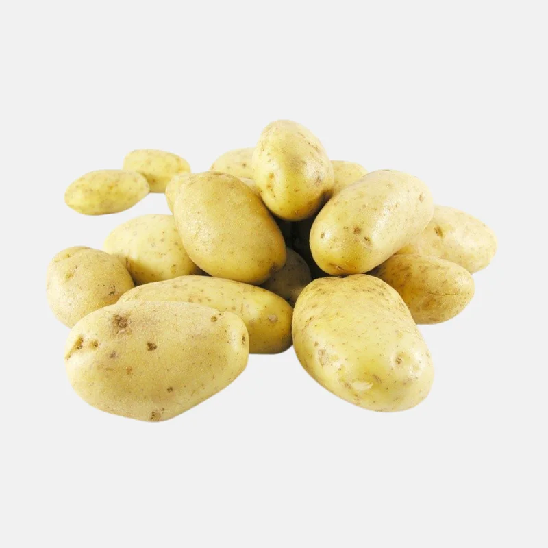 gvqa0vhqh25