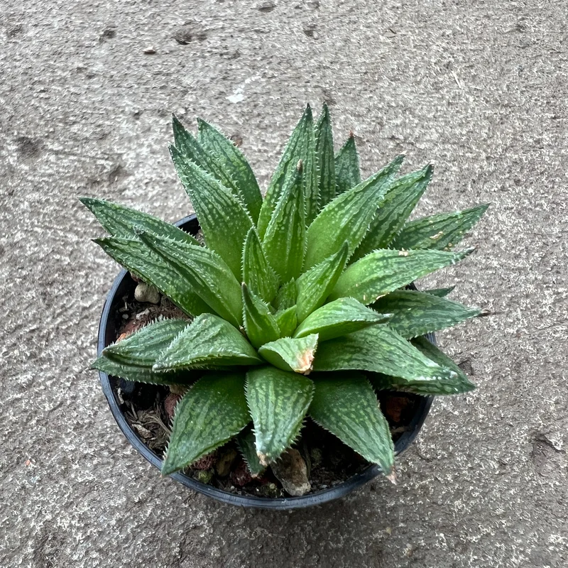 j5f34roi3b0