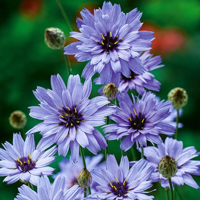 m2i3ftndqjy