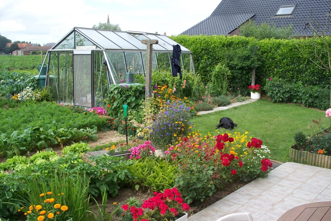 nkkhelweyjn