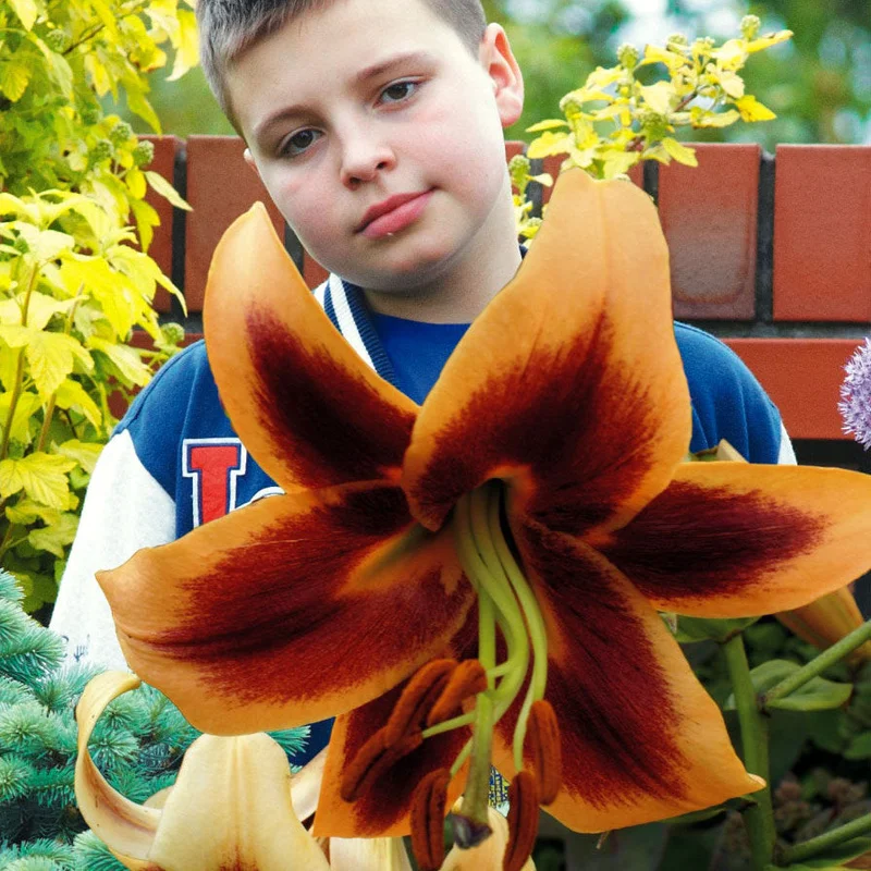 uzv4ioyv3cz