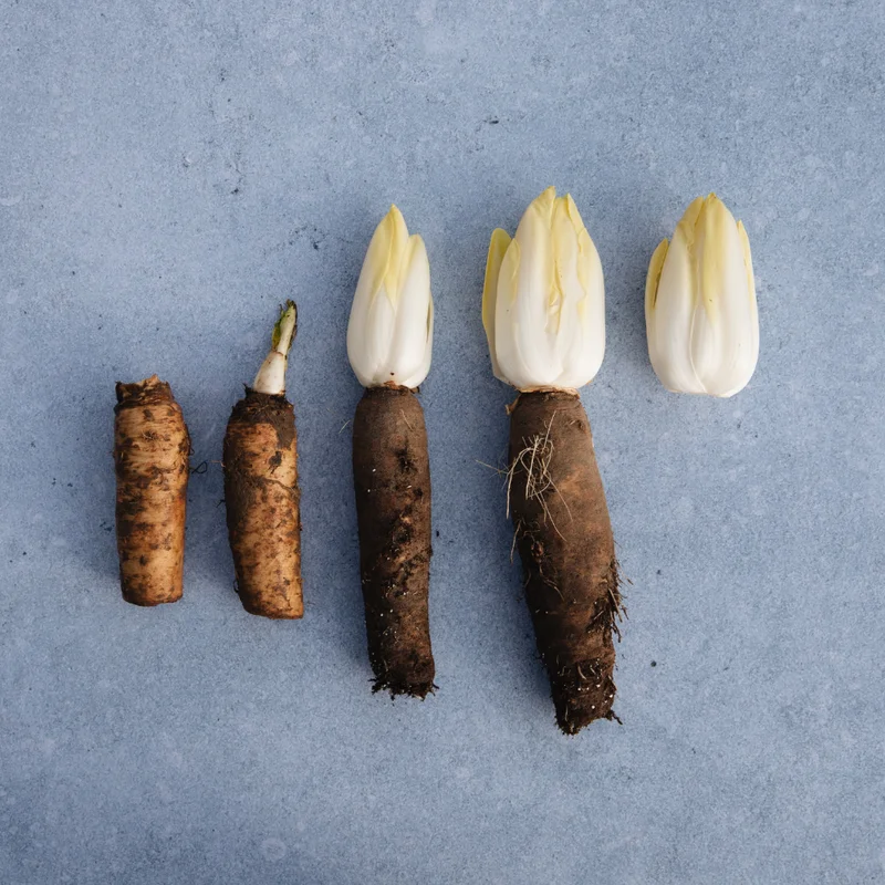 wqg1rwfb1ke