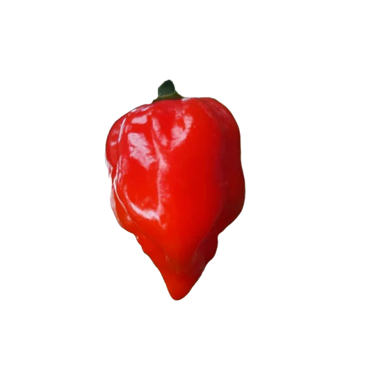 xismrlksz4i